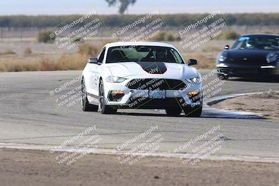 media/Nov-01-2025-PCA Central Coast (Sat) [[5e27ded23e]]/White Group/Grapevine/